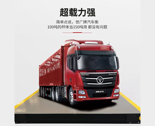 汽車衡 